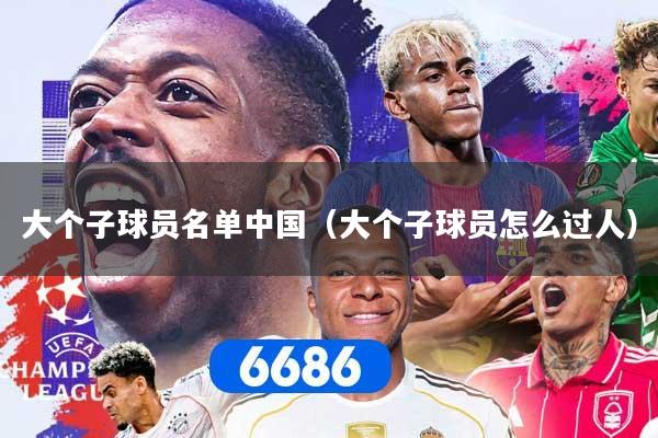 大个子球员名单中国（大个子球员怎么过人）