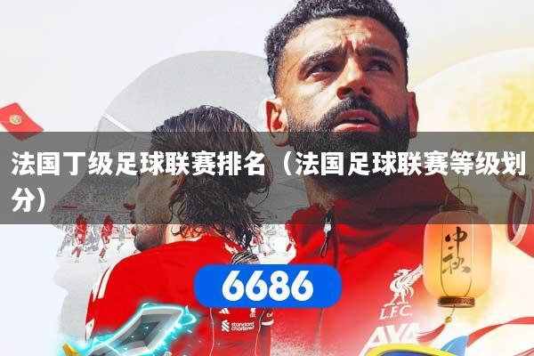 法国丁级足球联赛排名（法国足球联赛等级划分）