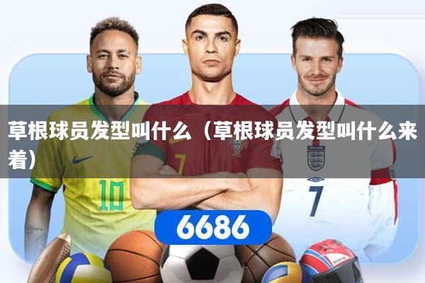 草根球员发型叫什么（草根球员发型叫什么来着）